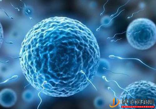 試管嬰兒網(wǎng):什么時(shí)候去做試管成功率較為高云南試管嬰兒費(fèi)用(圖3) 什么時(shí)候去做試管成功率較為高云南試管嬰兒費(fèi)用(圖2)