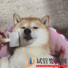 四十歲大齡三代試管嬰兒真實經歷一個胚胎也能一次...(圖6) 四十歲大齡三代試管嬰兒真實經歷一個胚胎也能一次...(圖6)