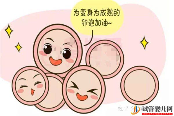 試管嬰兒一代至三代到底有什么樣的區別(圖1)