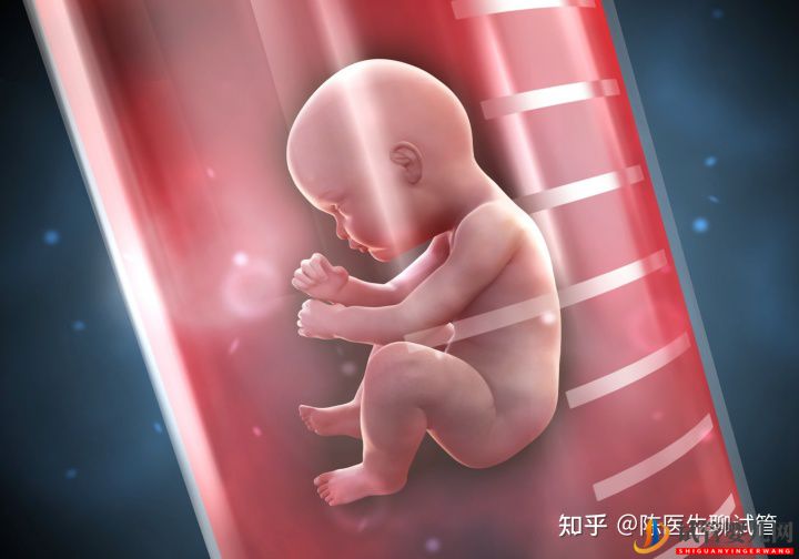試管嬰兒多少錢一次一代二代三代費用詳解(圖3) 試管嬰兒多少錢一次一代二代三代費用詳解(圖3)