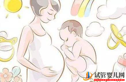 試管嬰兒囊胚移植成功率有多高(圖2)