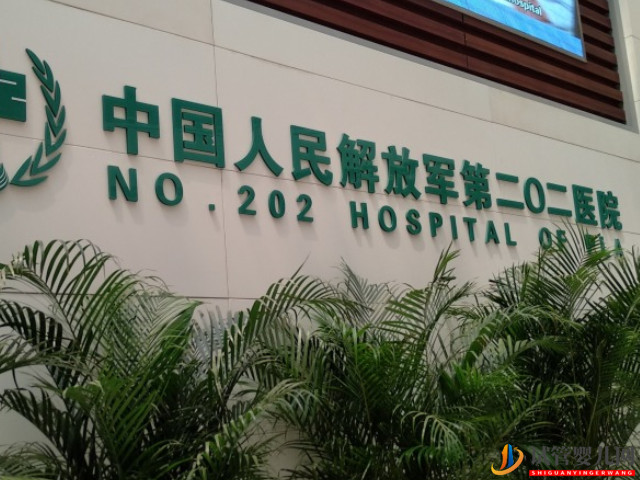 解放軍第202醫院試管嬰兒日記，助孕成功率與費用估算(圖1)