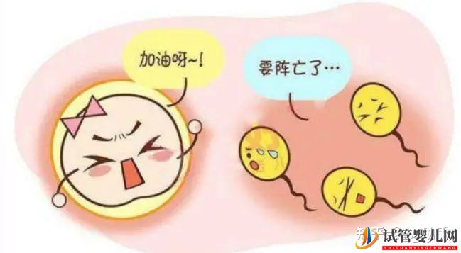 無精子癥就沒辦法要自己的寶寶了嗎(圖1) 無精子癥就沒辦法要自己的寶寶了嗎(圖1)