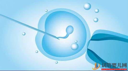 試管嬰兒的預產期怎么算？(圖1)