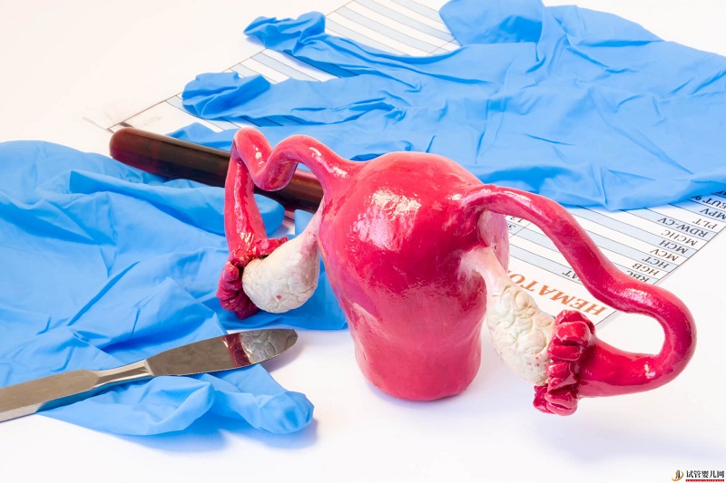 西藏1家試管嬰兒醫(yī)院排名、成功率與費用是否醫(yī)保報銷？(圖1)