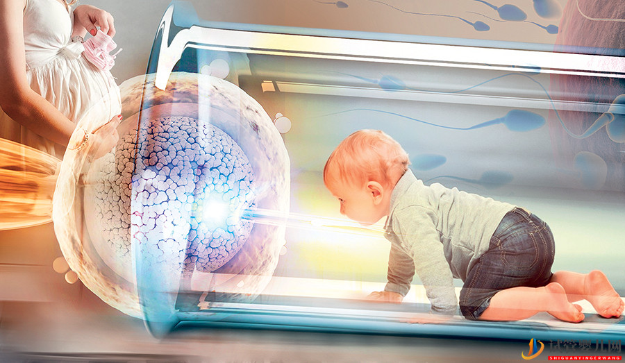 試管嬰兒能存活多久(圖1)