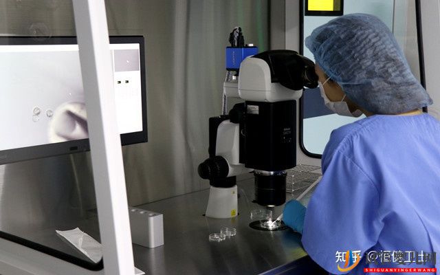 泰國第三代試管嬰兒費用大概需要多少(圖4)