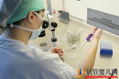 泰國(guó)第三代試管嬰兒費(fèi)用如何降低成功率如何提高(圖2)
