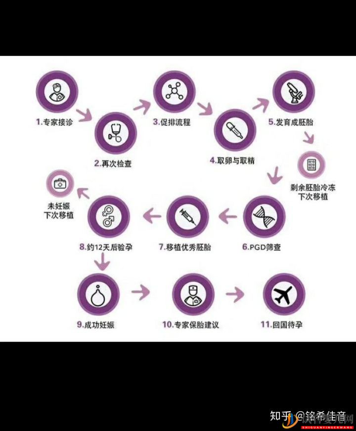 泰國試管嬰兒70%的成功率,是運氣還是實力(圖2)