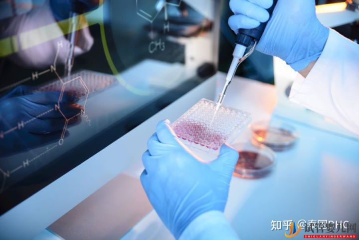 泰國(guó)試管嬰兒?jiǎn)紊砼院戏▎?圖5) 泰國(guó)試管嬰兒?jiǎn)紊砼院戏▎?圖5)