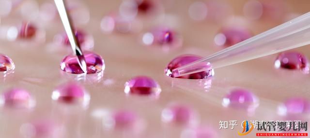 帶你解讀泰國(guó)試管嬰兒的方方面面(圖1)