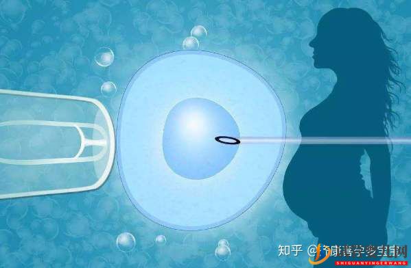 高齡去泰國(guó)做試管嬰兒真實(shí)經(jīng)歷成功消息振奮人心(圖3) 高齡去泰國(guó)做試管嬰兒真實(shí)經(jīng)歷成功消息振奮人心(圖3)