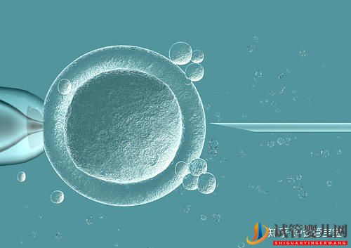 國外試管嬰兒怎么做的全過程(圖1)