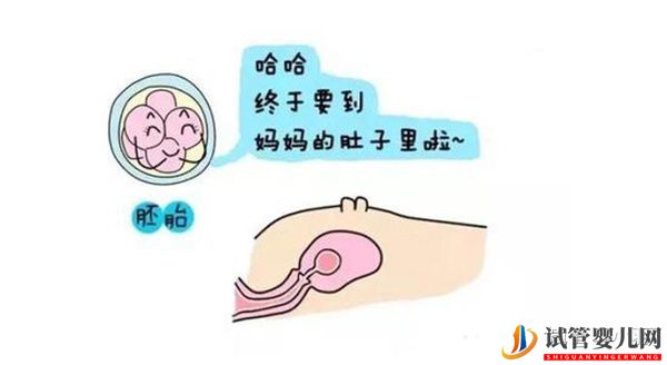 泰國(guó)試管嬰兒流程詳細(xì)分享!(圖3)
