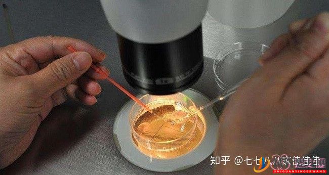 為什么很多明星都選擇去美國做試管嬰兒(圖1)