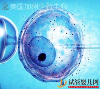 美國試管嬰兒指南如何科學(xué)提高成功率(圖1)