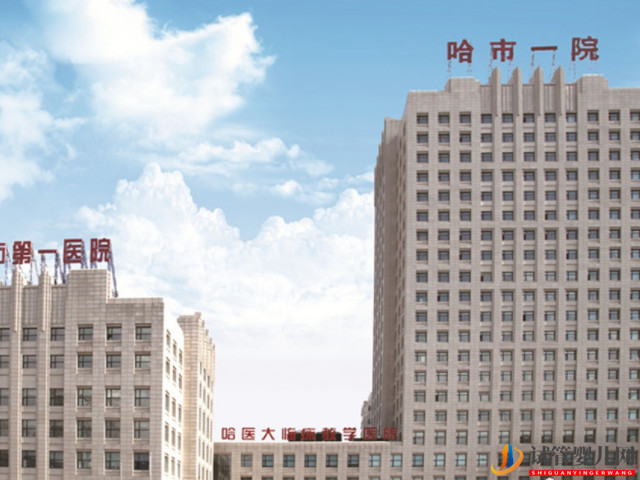 哈市第一醫(yī)院試管嬰兒成功經驗(圖1)