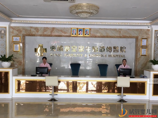 柬埔寨最好的五家試管醫(yī)院 全都在這里(圖2)