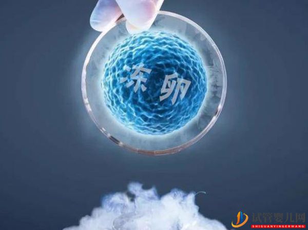 日本卵子冷凍時間不受限制、技術(shù)發(fā)達(dá)、費用較其他國家更經(jīng)濟(jì)(圖1)