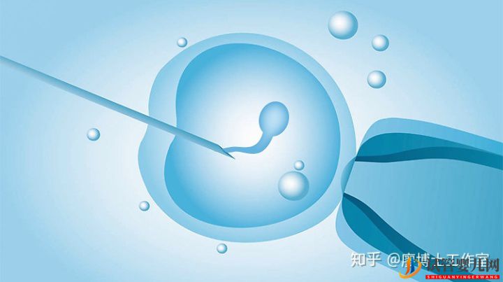 第三代試管嬰兒優(yōu)于第一代和第二代嗎？適合哪些人？試管大約多少錢？(圖2)