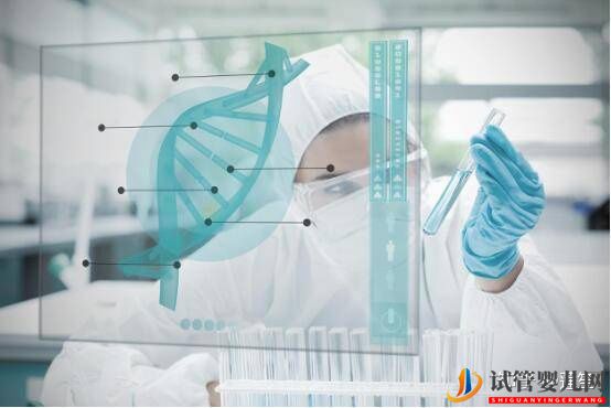 第三代試管嬰兒選擇性別真的能100%做到生男生女嗎試管大約多少錢(圖3) 第三代試管嬰兒選擇性別真的能100%做到生男生女嗎試管大約多少錢(圖3)