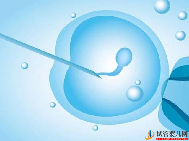 彩虹家庭怎么生小女孩？(圖1)