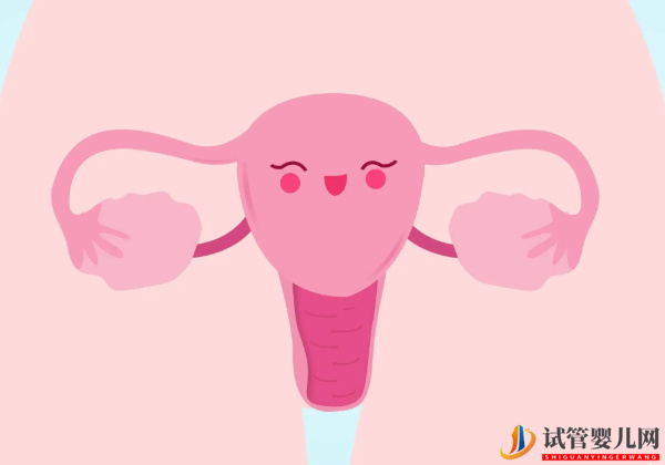 AMH值0.24抓緊調(diào)理卵泡發(fā)育也能好孕(圖1)