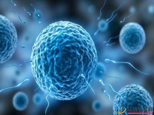 貴陽供精人工授精的流程是怎么樣的？費用是多少？(圖1)