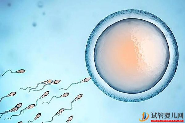 別糾結(jié)強陽當天or第二天要男孩(圖2)