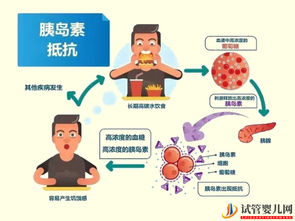 胰島素抵抗與著床無直接關系？(圖2)