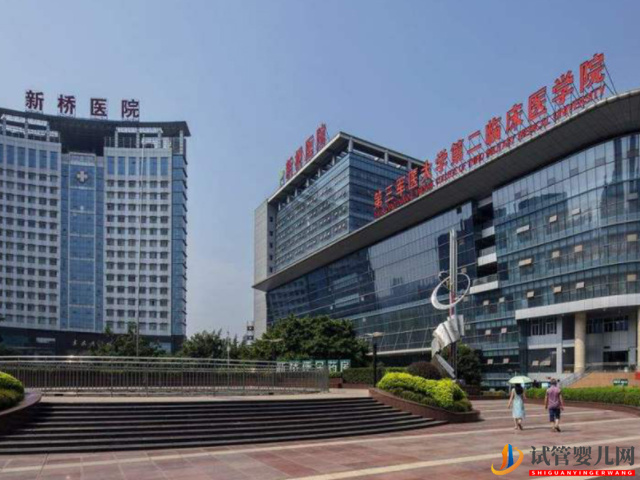 重慶新橋醫(yī)院試管嬰兒費用明細及成功率參考指南(圖1)