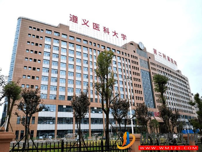 遵醫附院試管嬰兒成功率、費用與流程指南(圖1)