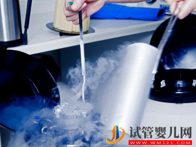 卵子儲存和胚胎儲存別混為一談，作用和適合人群都不同(圖1)