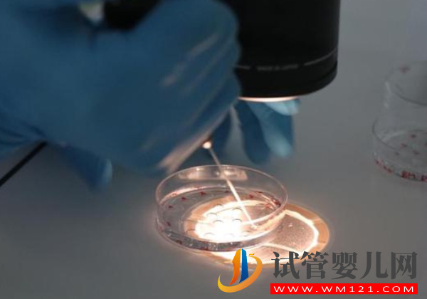 試管移植后熱水泡腳的3大好處匯總，水溫、時間把控好才有用(圖1)