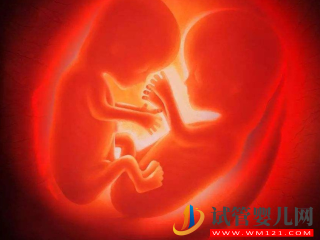 做試管詳細(xì)總費用清單，單胎雙胎價格居然一樣(圖4)