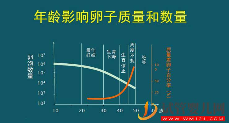 35歲試管嬰兒的成功率有多少？(圖2)