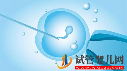日喀則試管嬰兒與人工受精的區(qū)別 人工受精的成功率(圖1)