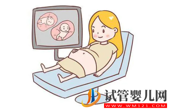 試管放2個(gè)胚胎成功高嗎(圖1)