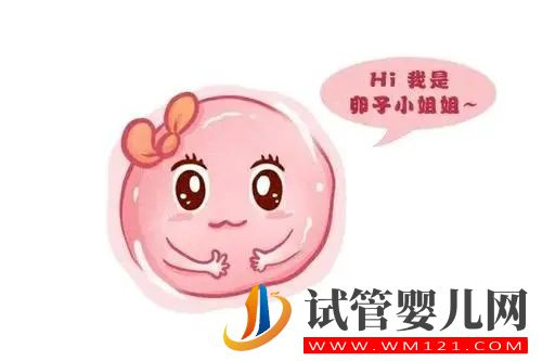 8個養卵秘方,祝你好孕!(圖1) 8個養卵秘方,祝你好孕!(圖1)