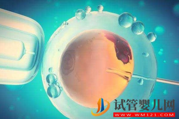 卵巢囊腫對試管助孕有影響嗎?專家告訴你有(圖1) 卵巢囊腫對試管助孕有影響嗎?聽聽專家怎么說(圖1)