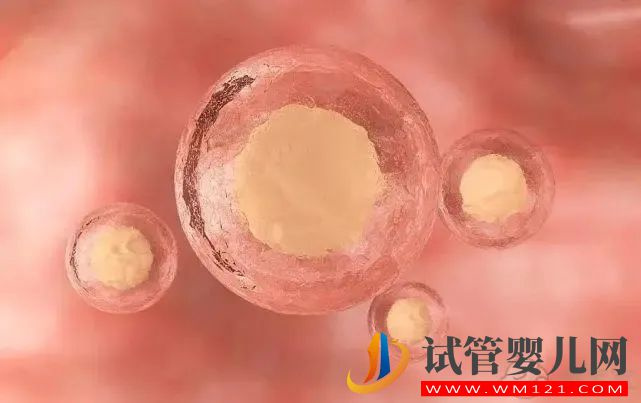 試管嬰兒容易成功的人,往往都處在這個年齡段(圖2) 林芝試管嬰兒容易成功的人,往往都處在這個年齡段(圖2)