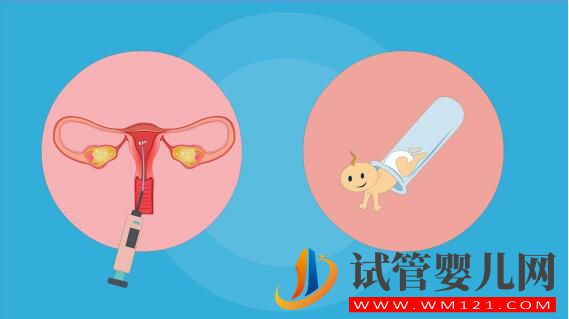 人工授精和試管嬰兒詳細(xì)介紹及對比?(圖3) 人工授精和試管嬰兒詳細(xì)介紹及對比?(圖3)