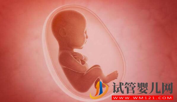 人工授精和試管嬰兒詳細(xì)介紹及對比?(圖5) 人工授精和試管嬰兒詳細(xì)介紹及對比?(圖5)