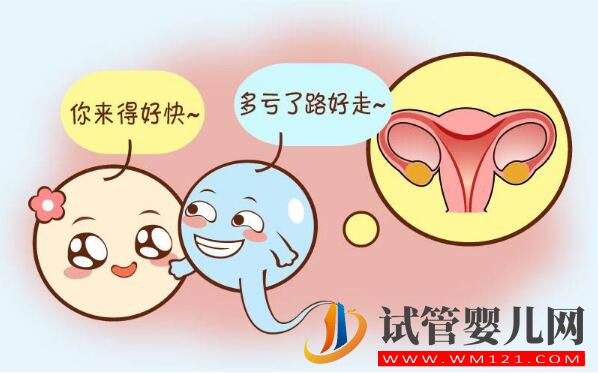 子宮內膜薄可以做試管嬰兒嗎？(圖3)