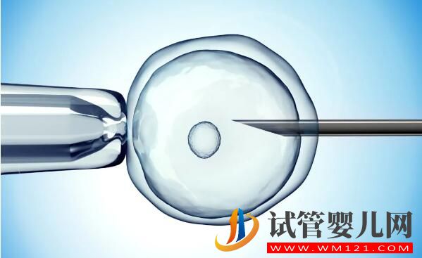 做試管嬰兒期間夫妻真的不能同房嗎?(圖5) 做試管嬰兒期間夫妻真的不能同房嗎?(圖5)