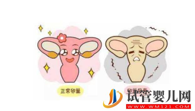 卵巢功能不好能做試管?嬰兒?jiǎn)幔?圖3) 卵巢功能不好能做試管?嬰兒?jiǎn)幔?圖3)
