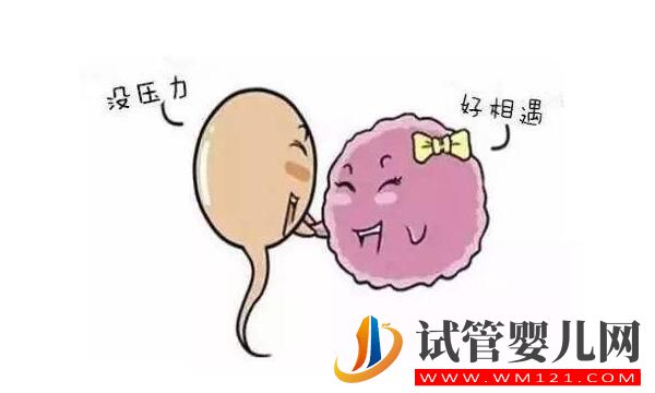 做試管嬰兒前需要怎么調理身體？(圖1)