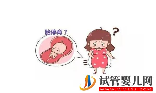 胎停育后能再次懷孕嗎?(圖1) 胎停育后能再次懷孕嗎?(圖1)