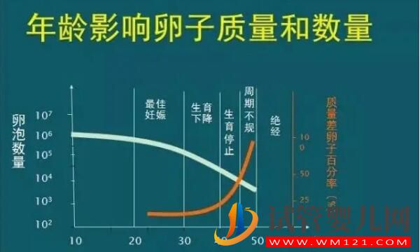 fsh值35偏高能否做試管嬰兒,做好這三點(diǎn)很重要,你也來(lái)試試!(圖1) fsh值35偏高能否做試管嬰兒,做好這三點(diǎn)很重要,你也來(lái)試試!(圖1)