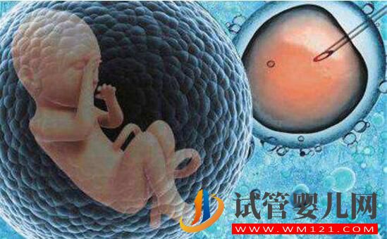 什么是第三代試管嬰兒 為什么國內(nèi)禁止做這種手術(shù)(圖2) 什么是第三代試管嬰兒?為什么國內(nèi)禁止做這種手術(shù)?(圖2)